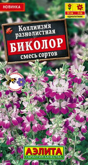 Коллинзия, смесь сортов «Биколор»
