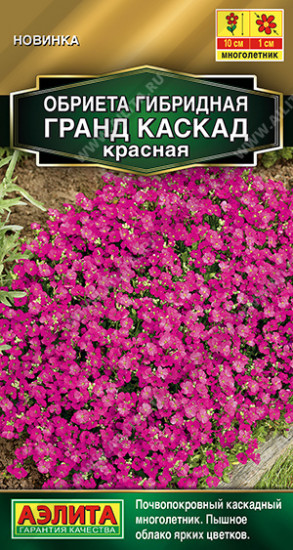 Обриета красная «Гранд каскад»