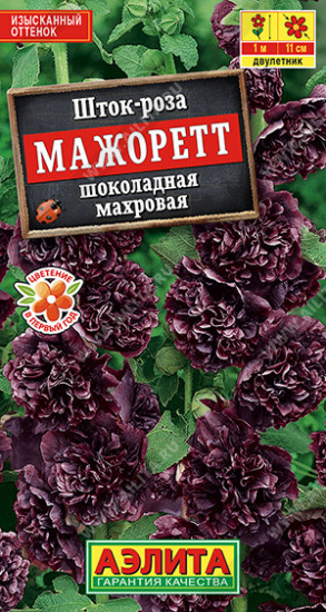 Шток-роза шоколадная «Мажоретт махровая»