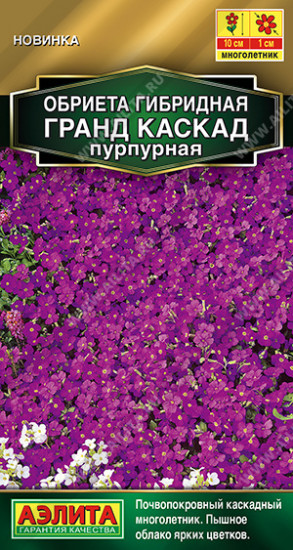 Обриета красная «Гранд каскад»