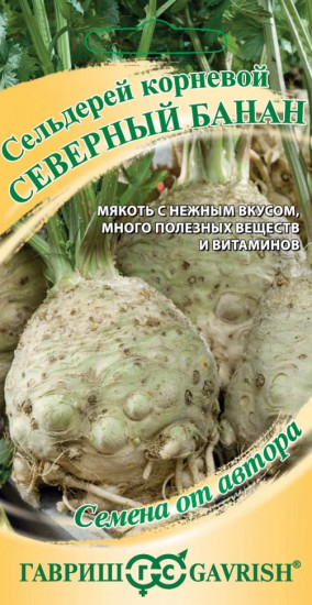 Сельдерей корневой «Северный банан»