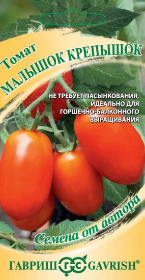Томат «Малышок крепышок»