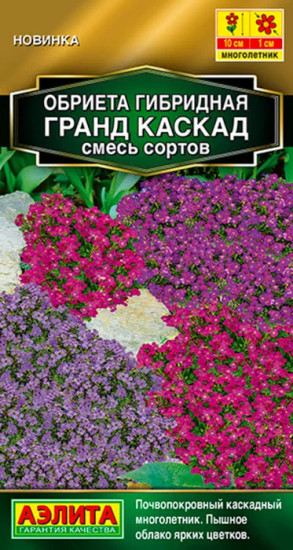 Обриета, смесь сортов «Гранд каскад»