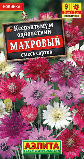 Ксерантемум, смесь сортов «Махровый»