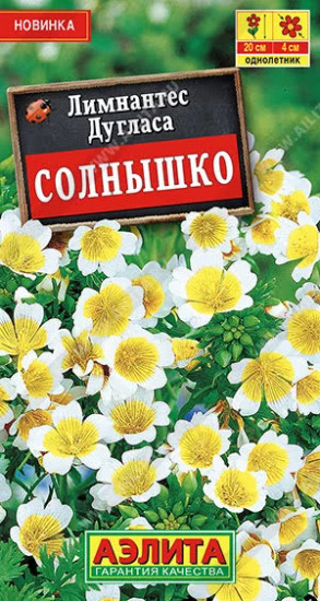 Лимнантес дугласа «Солнышко»