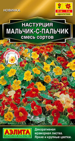 Настурция, смесь сортов «Мальчик-с-пальчик»