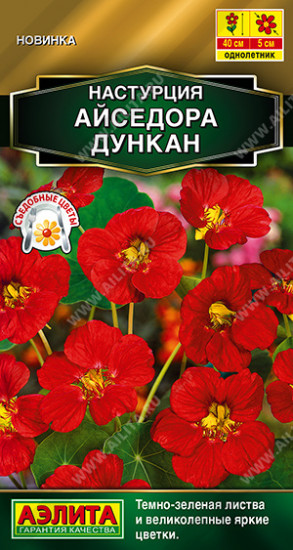 Настурция «Айседора Дункан»