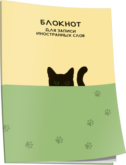 Блокнот для записи иностранных слов «Кот»