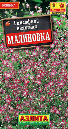 Гипсофила изящная «Малиновка»