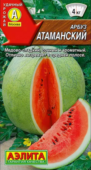 Арбуз «Атаманский»