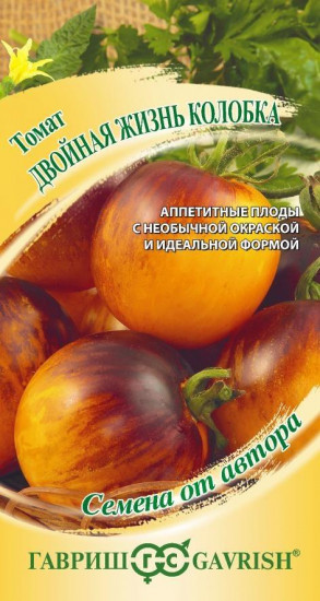 Томат «Двойная жизнь колобка»