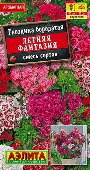 Гвоздика, смесь сортов «Летняя фантазия»