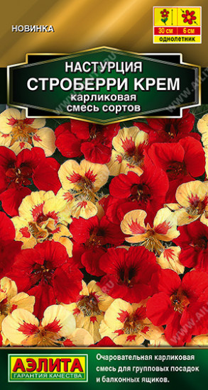 Настурция, смесь сортов «Строберри крем карликовая»