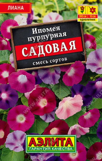 Ипомея пурпурная, смесь сортов «Садовая»