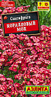 Саксифрага «Коралловый мох»