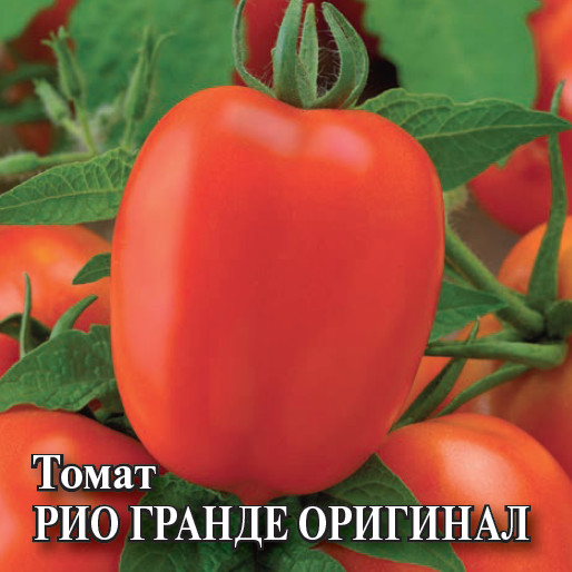 Томат «Рио Гранде Оригинал»