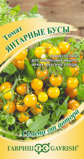 Томат «Янтарные бусы»
