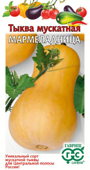 Тыква «Мармеладница»