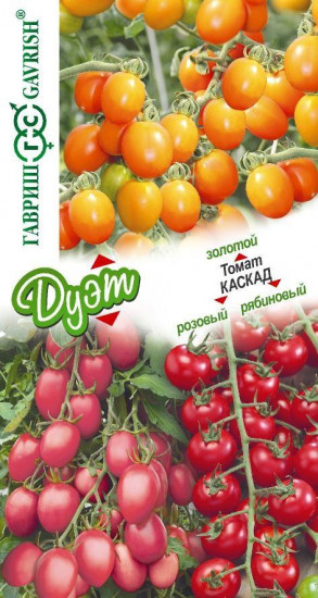 Томат «Каскад золотой», «Каскад розовый» и «Каскад рябиновый»