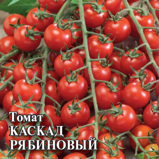Томат «Каскад рябиновый»