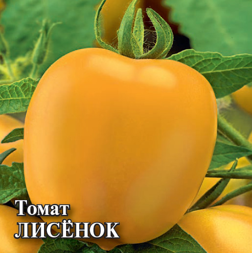 Томат «Лисёнок»