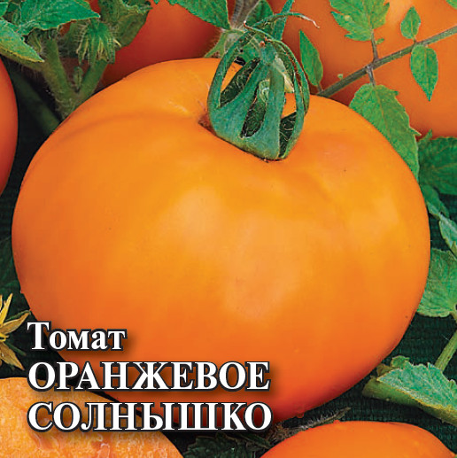 Томат «Оранжевое солнышко»