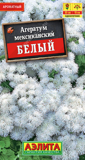 Агератум мексиканский белый
