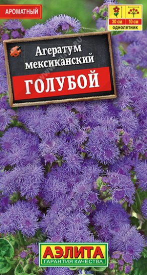Агератум мексиканский голубой