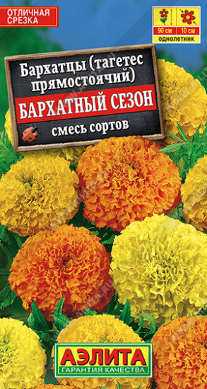 Бархатцы прямостоячие, смесь сортов «Бархатный сезон»