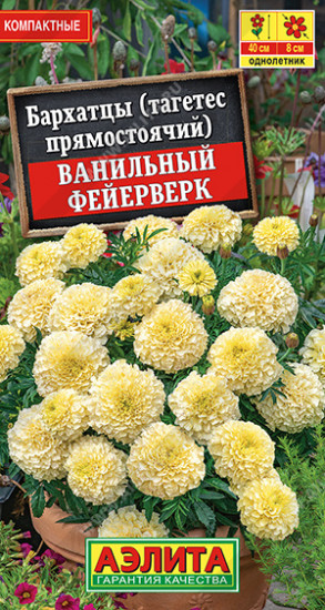 Бархатцы «Ванильный фейерверк»