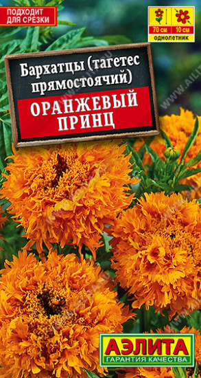 Бархатцы «Оранжевый принц»