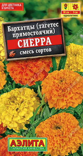 Бархатцы прямостоячие, смесь сортов «Сиерра»