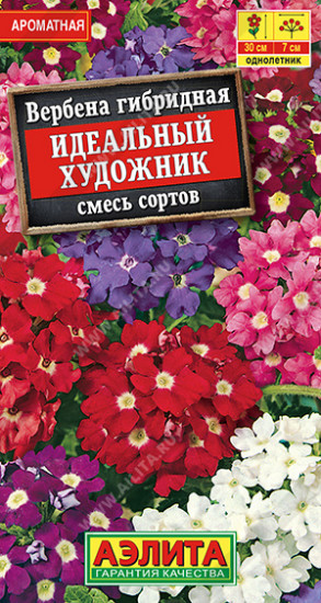 Вербена, смесь сортов «Идеальный художник»
