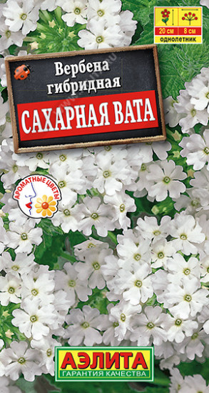 Вербена «Сахарная вата»