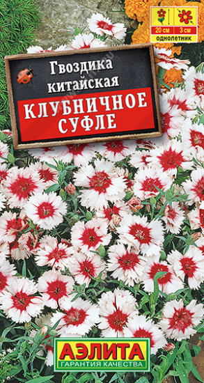Гвоздика китайская «Клубничное суфле»