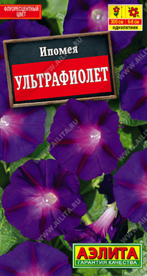 Ипомея «Ультрафиолет»
