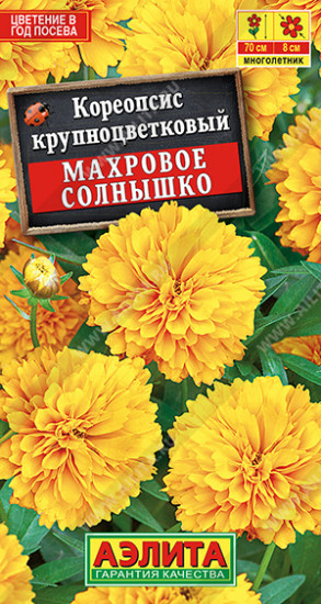 Кореопсис «Махровое солнышко»