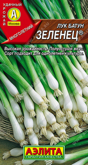 Лук батун «Зеленец»