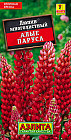 Люпин многолетний «Алые паруса»