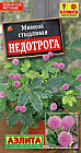 Мимоза «Недотрога»