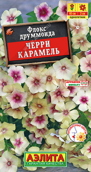 Флокс друммонда «Черри карамель»