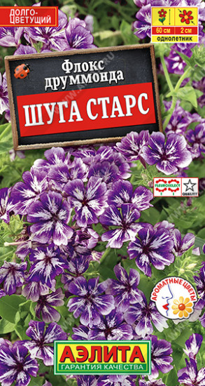Флокс друммонда «Шуга старс»
