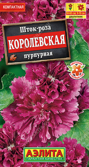 Шток-роза «Королевская пурпурная»