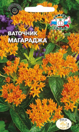 Ваточник «Магараджа»