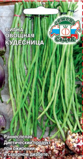 Вигна овощная «Кудесница»