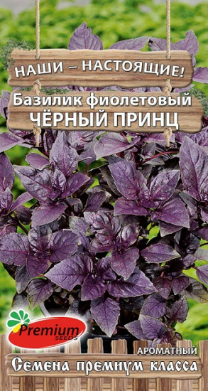 Базилик фиолетовый «Чёрный принц»