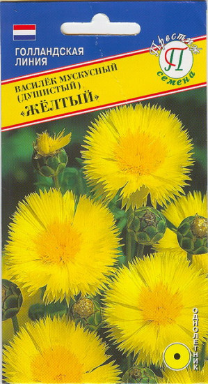 Василёк мускусный «Жёлтый»