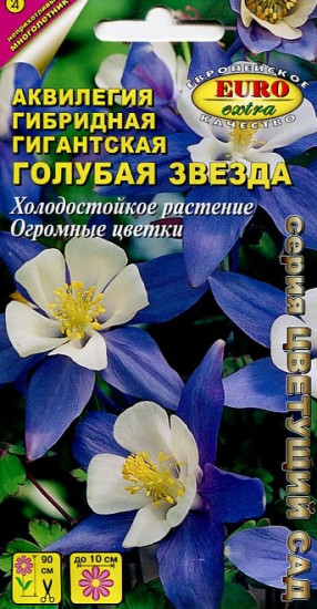 Семена аквилегии «Голубая звезда гигантская»