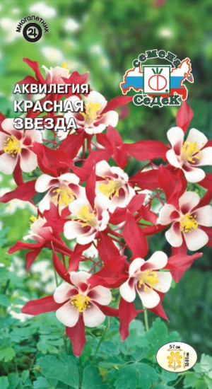 Семена аквилегии «Красная Звезда»