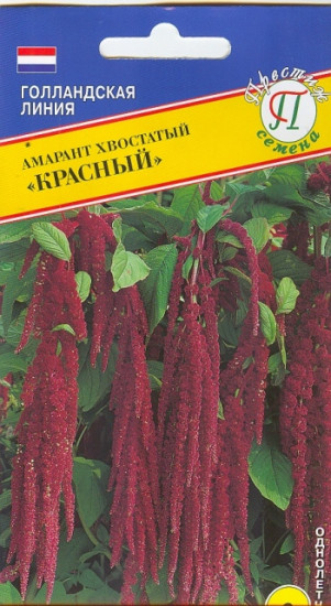 Семена амаранта хвостатого «Красный»